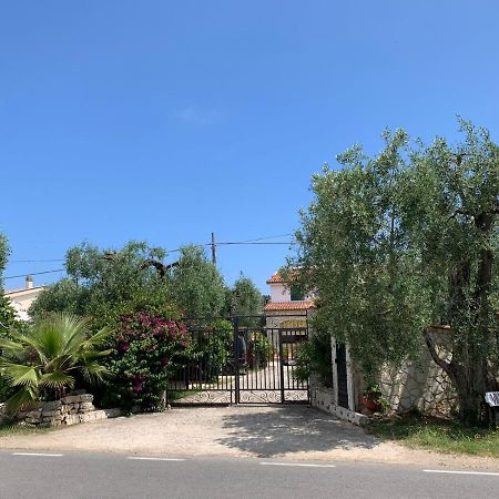 Villa Monica Appartamenti Vieste Exterior photo