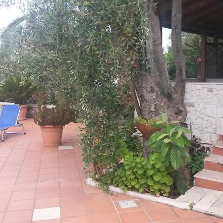 Villa Monica Appartamenti Vieste Exterior photo
