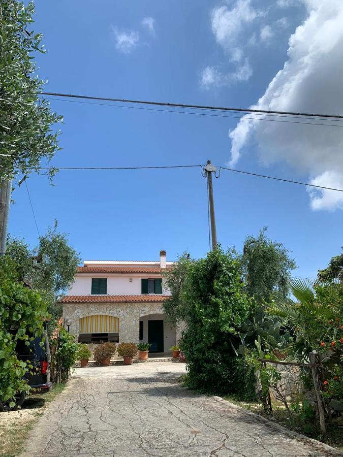Villa Monica Appartamenti Vieste Exterior photo