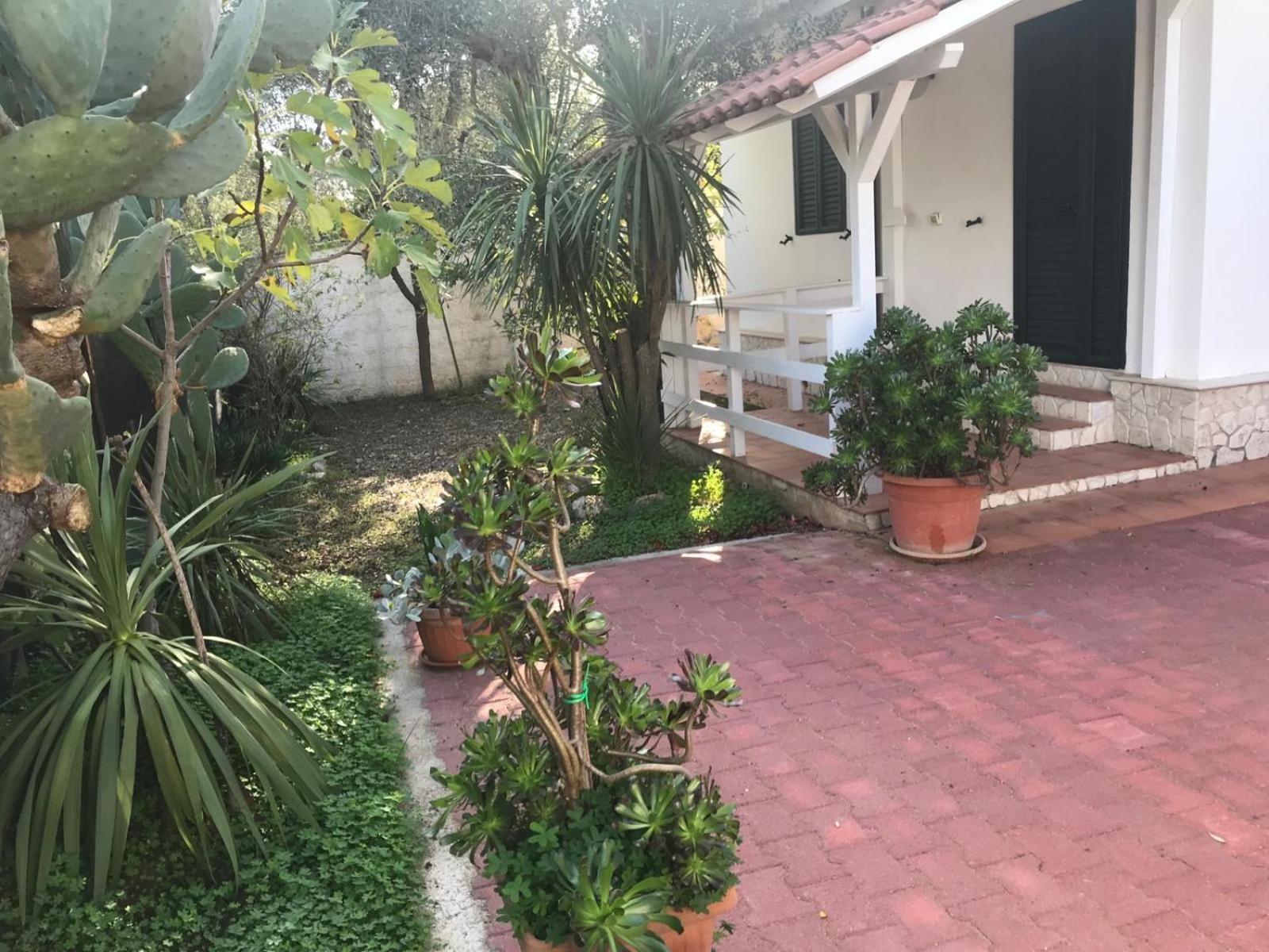 Villa Monica Appartamenti Vieste Exterior photo